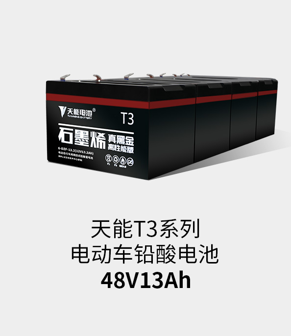 吕氏贵宾会0022T3系列48v13ah